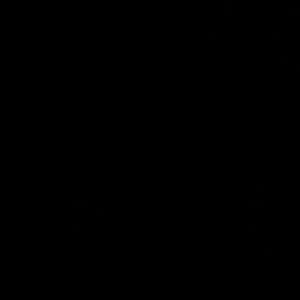 Meet your Posher, Miriam